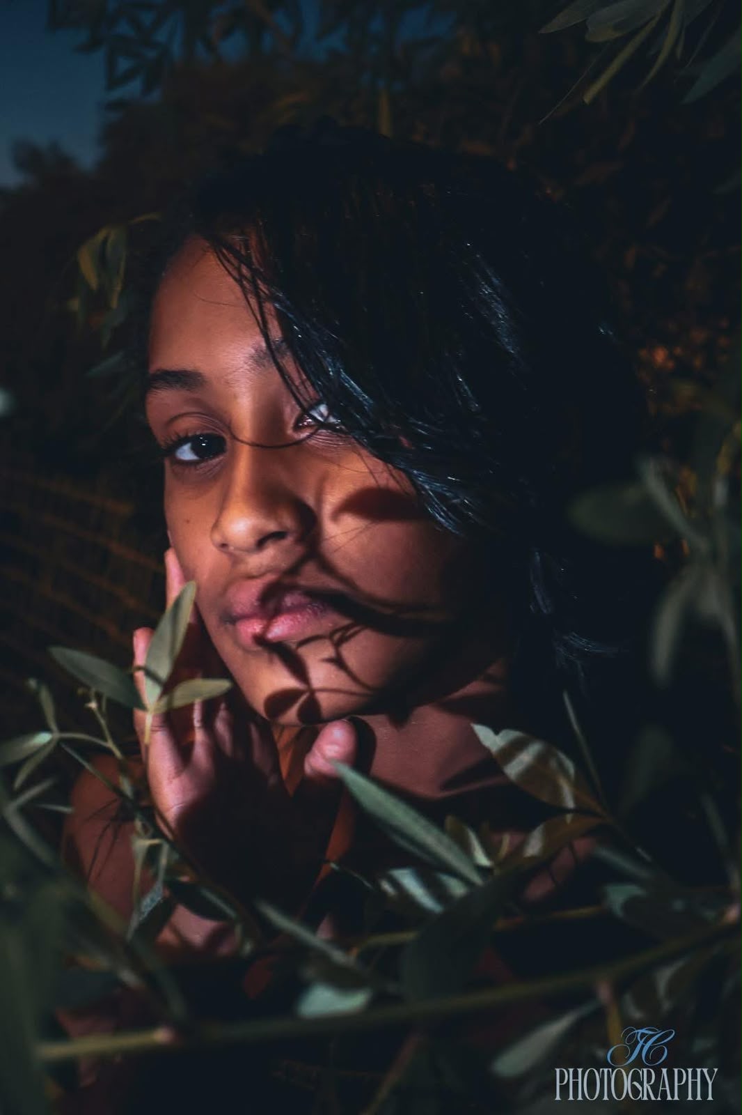 Among the Leaves